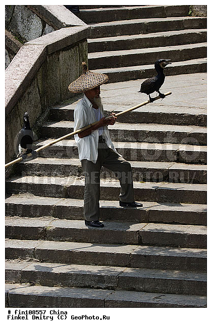 �����, �����