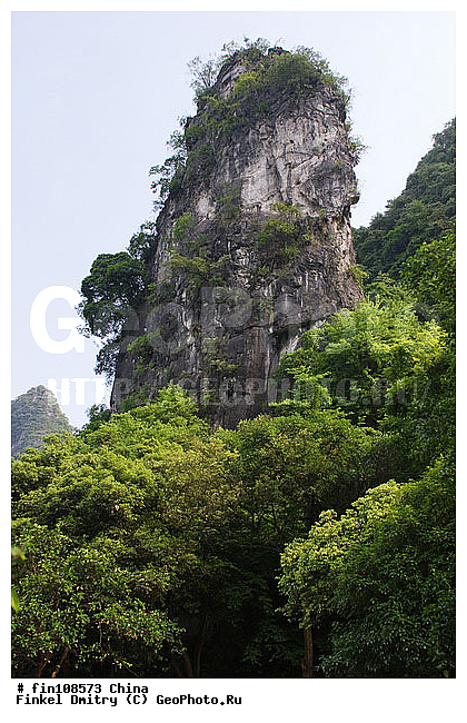 �����, �����