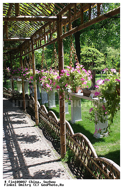 �����, ������, �����