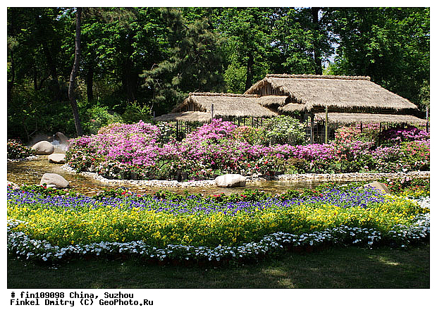 �����, ������, �����