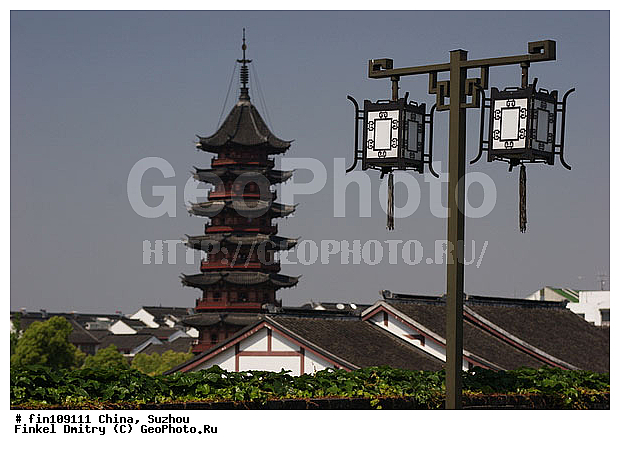 �����, ������, �����