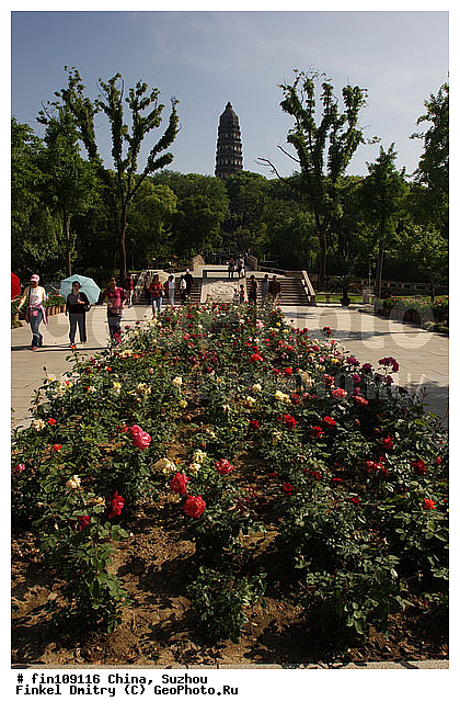 �����, ������, �����, �������� �����