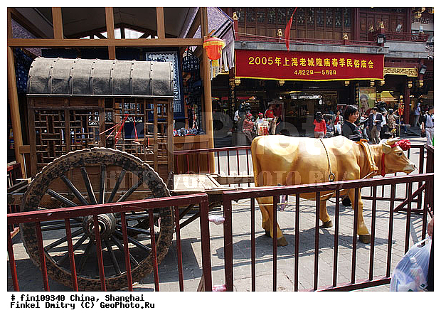 ����������� �����, ������, �������, ����, ���� ����������� �����