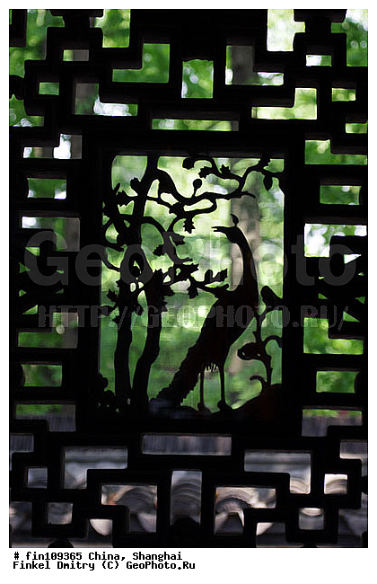 �����, ������, ���