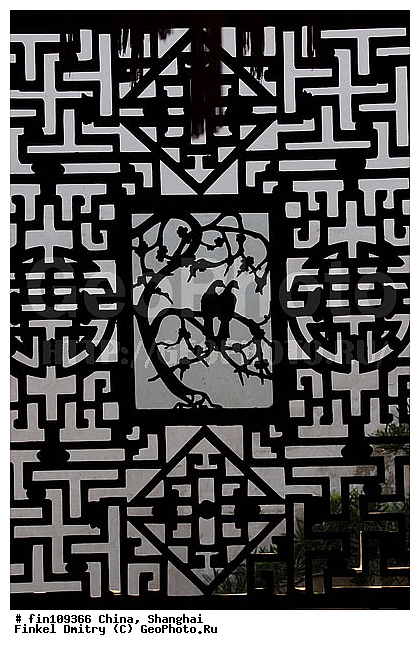 �����, ������, ���