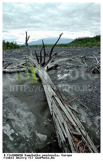 ��������, ��������, ������, �������, ����������