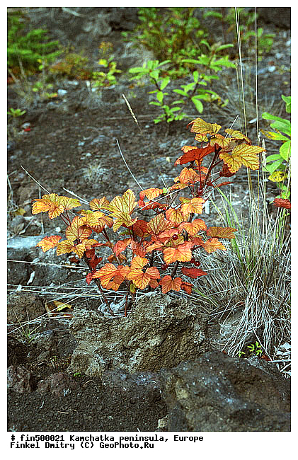 ��������, ��������, ������, �������, ����������, ��������, ��������, �����