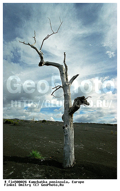 ��������, ��������, ������, �������, ����������