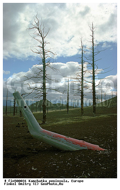 ��������, ��������, ������, �������, ����������