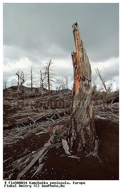 ��������, ��������, ������, �������, ����������