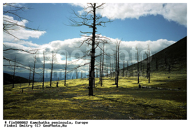 ��������, ��������, ������, ����������