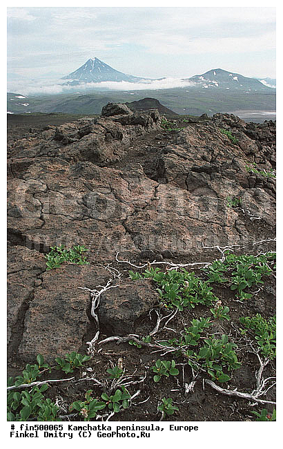 �����������, �������, ��������, ������, �������, ����������