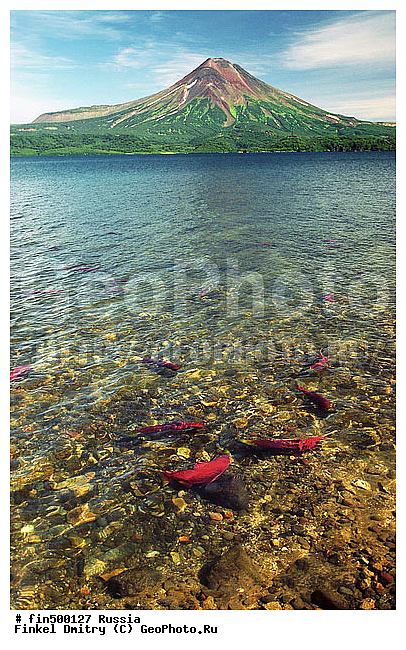 ��������, ����������, ������, ����, ���, �������, ����������, �����, �������, ����, �����, �����