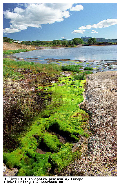 ��������, ����, ������, ��������, �������, ����������