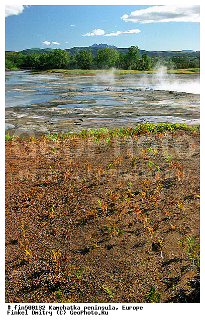 ��������, ����, ������, ��������, �������, ����������