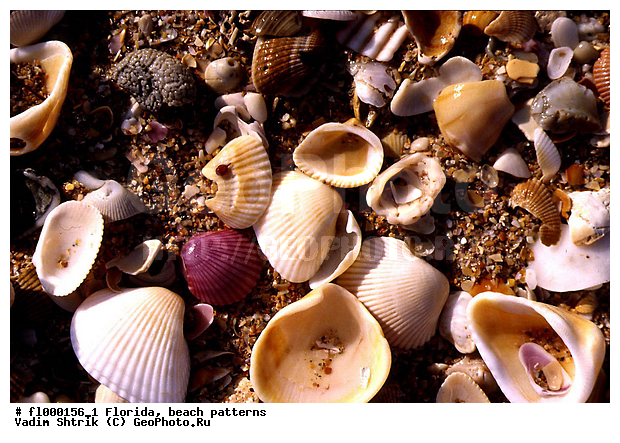 ���������, �������, �����, �����, ����, �������, ��������, �������, �������