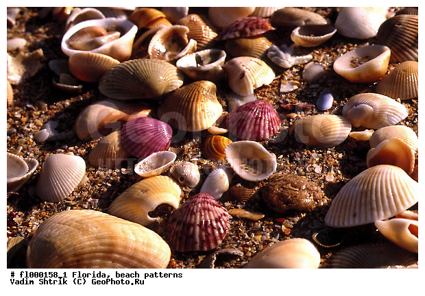 ���������, �������, �����, �����, ����, �������, ��������, �������, �������