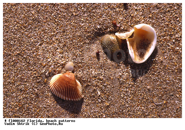 ���������, �������, �����, �����, ����, �������, ��������, �������, �������