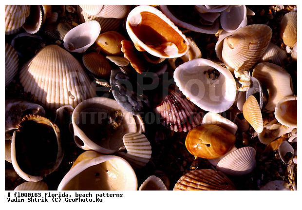 ���������, �������, �����, �����, ����, �������, ��������, �������, �������