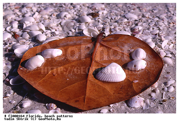 ���������, �������, �����, �����, ����, �������, ��������, �������, �������