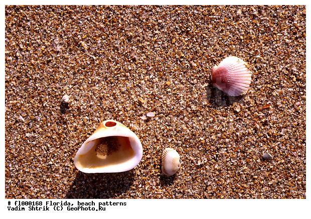 ���������, �������, �����, �����, ����, �������, ��������, �������, �������