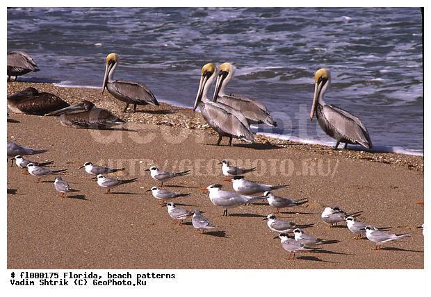 ���������, �������, �����, �����, ����, �������, ��������, �������, �������