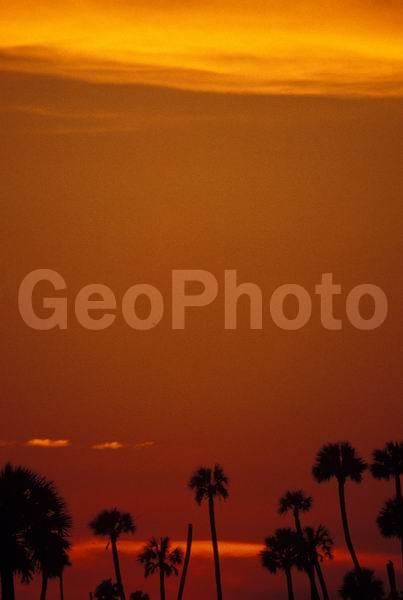 �������, �������