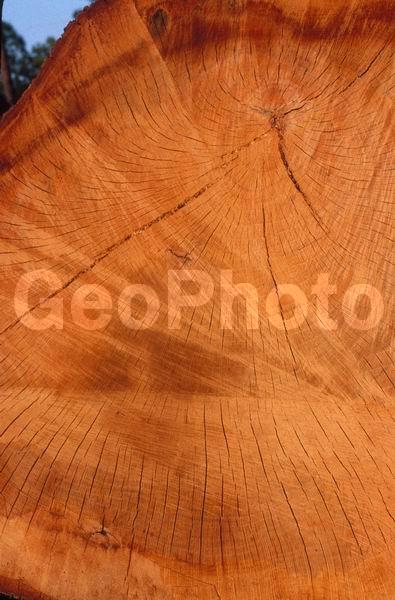 �������, �������