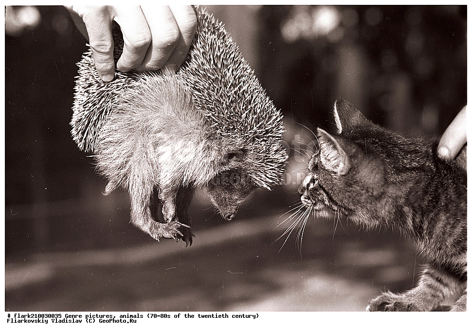 70-�, 80-�, XX ���, ����, ������, ����, �����, �������� ����������, �������� ����������, �����, ����� ����������, 20 ���, �������� ����������, ��������, �������� ��������