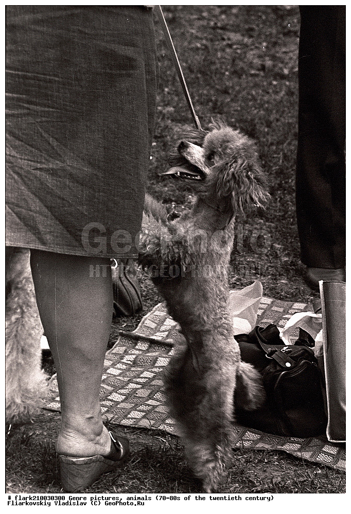 70-�, 80-�, XX ���, ����, ������, ����, �����, �������� ����������, �������� ����������, �����, ����� ����������, 20 ���, �������� ����������, ��������, �������� ��������