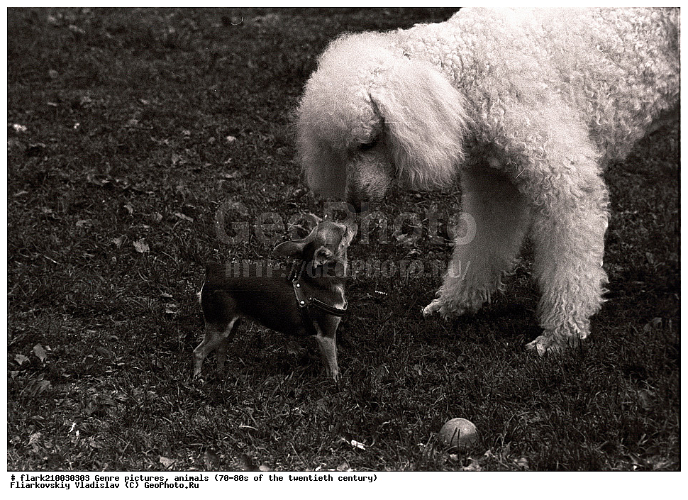 70-�, 80-�, XX ���, ����, ������, ����, �����, �������� ����������, �������� ����������, �����, ����� ����������, 20 ���, �������� ����������, ��������, �������� ��������