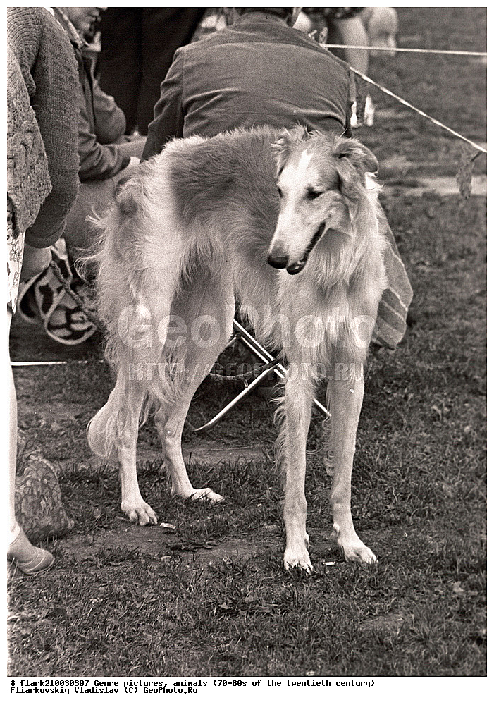 70-�, 80-�, XX ���, ����, ������, ����, �����, �������� ����������, �������� ����������, �����, ����� ����������, 20 ���, �������� ����������, ��������, �������� ��������