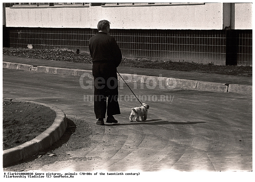 70-�, 80-�, XX ���, ����, ������, ����, �����, �������� ����������, �������� ����������, �����, ����� ����������, 20 ���, �������� ����������, ��������, �������� ��������