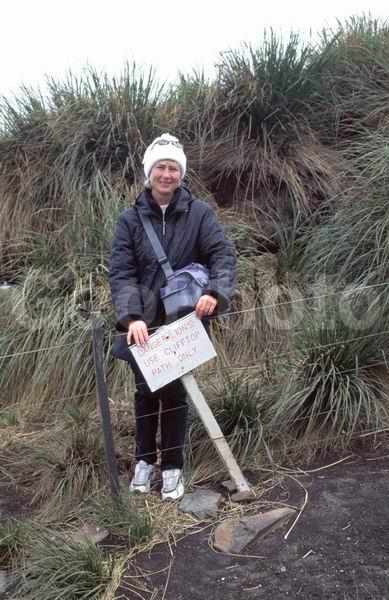 ������, ��������, ����� ���������