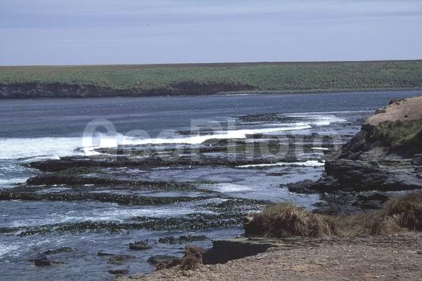 ������, ��������, ����� ���������