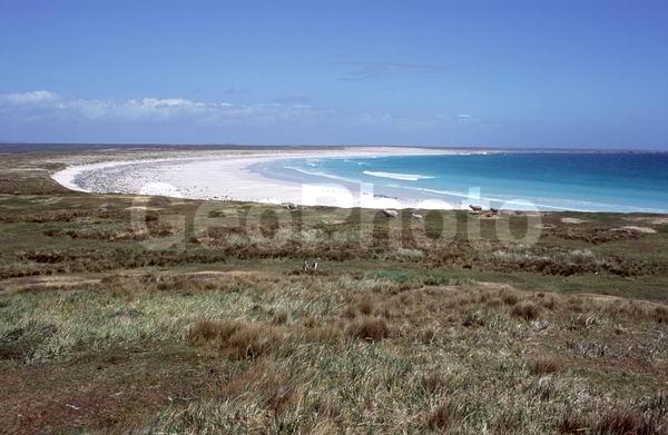 ������, ��������, ����� ���������