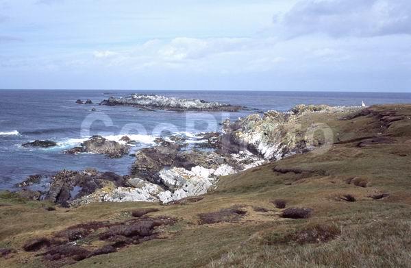 ������, ��������, ����� ���������