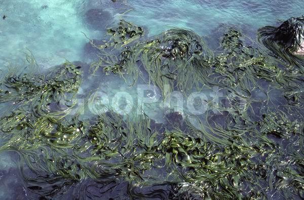 ������, ��������, ����� ���������