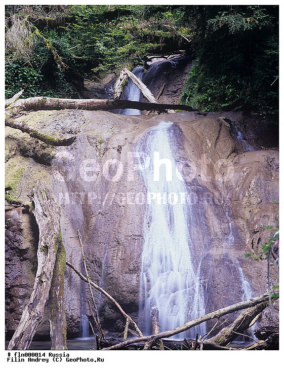 ������, �������