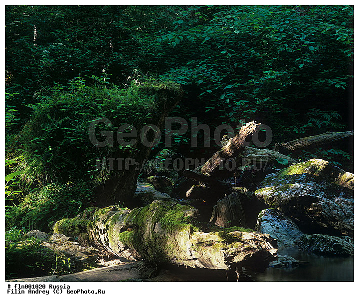 ������, ������, �����, ������, ������ ������