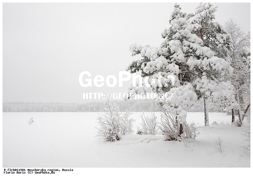 ������, ��������� ����, ������, ������, ��������� �������, �����, ����������, ����, ����, ��������, ���, �������, ��������� ����, ���������, �����, �������� ����, �������� �����