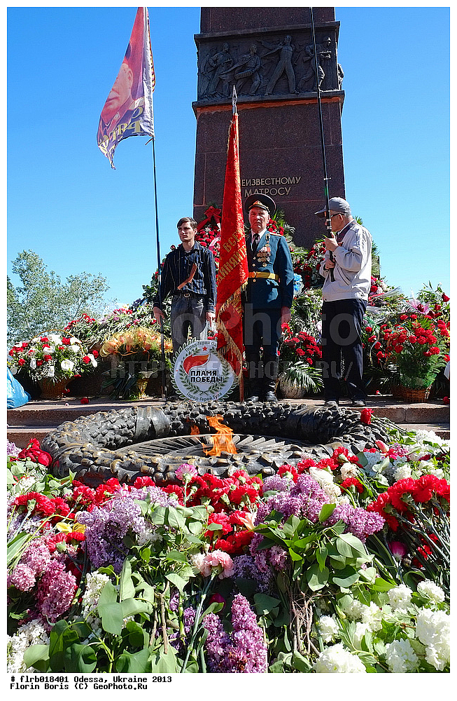 ������, �������, 2013