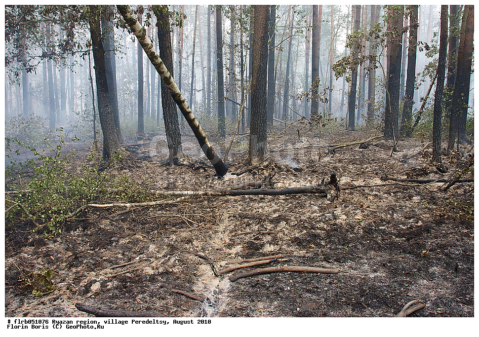 ���������, �������, ����, ����������, ������