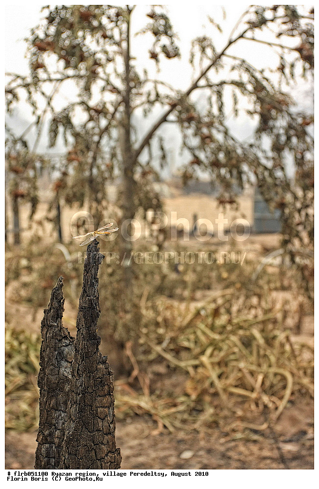 ���������, �������, ����, ����������, ������