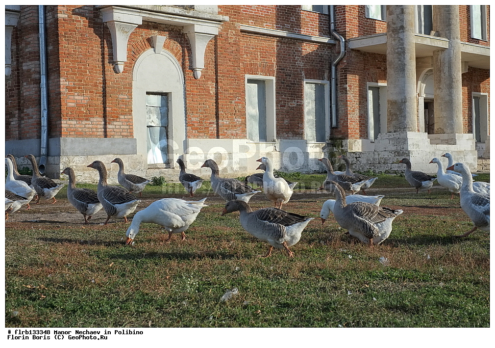 �������, �������, ��������, ���������� �����, �������� �������, ������