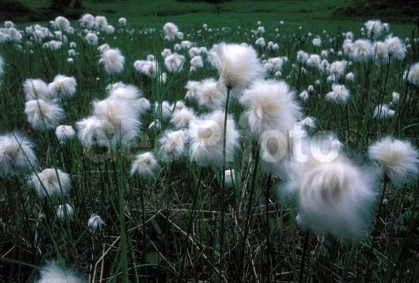 ������, ��������, ������, ����, ����, ������, ��������, ��������, ������, ��������, ����, ���������, �������� ������