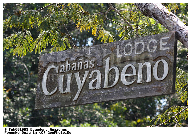 �������, �������, �������, �������, ����, �����, ���� ��������, �������