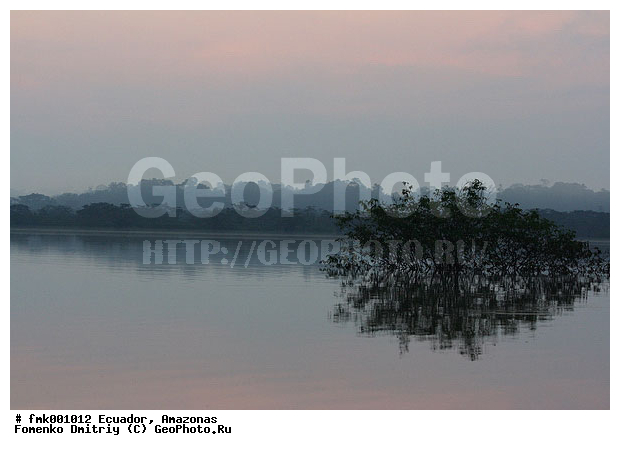 �������, �������, �������, ���� ��������, ������, ������, �����