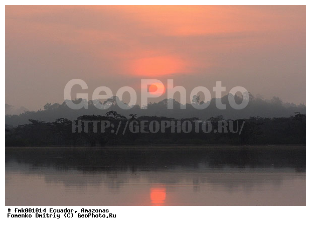 �������, �������, �������, ���� ��������, ������, ������, �����