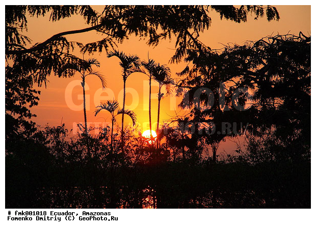 �������, �������, �������, �����, �����, ������, ���� ��������, ������